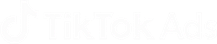 TikTok Ads